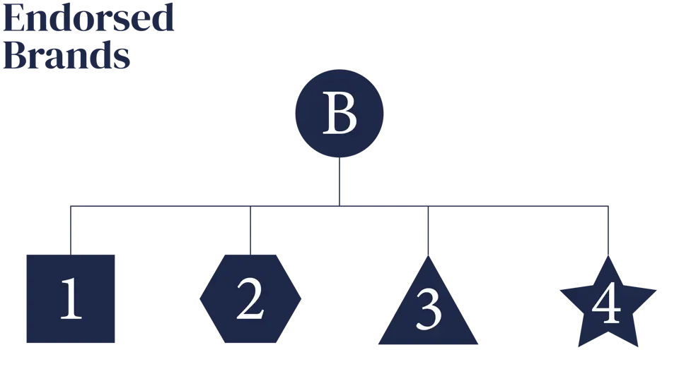 Brand Architecture Spectrum TR EB